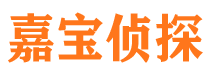 馆陶侦探公司